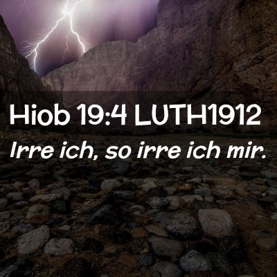 Picture 02 - Hiob 19:4 LUTH1912 - Irre ich, so irre ich - Bible Verse Picture