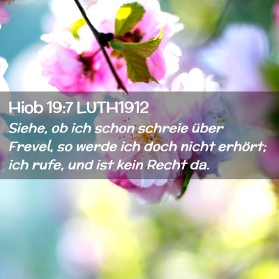 Picture 02 - Hiob 19:7 LUTH1912 - Siehe, ob ich schon schreie über Frevel, so - Bible Verse Picture