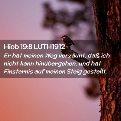 Picture 02 - Hiob 19:8 LUTH1912 - Er hat meinen Weg verzäunt, daß ich nicht kann - Bible Verse Picture