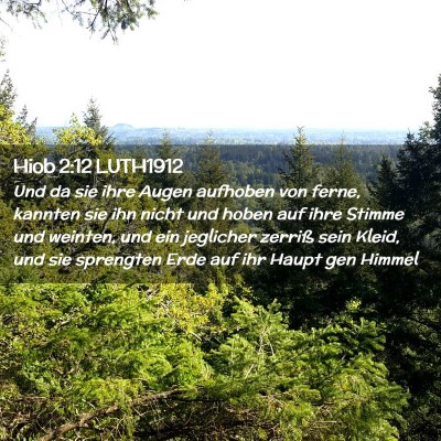 Picture 02 - Hiob 2:12 LUTH1912 - Und da sie ihre Augen aufhoben von ferne, kannten - Bible Verse Picture