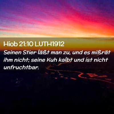 Picture 02 - Hiob 21:10 LUTH1912 - Seinen Stier läßt man zu, und es mißrät ihm - Bible Verse Picture