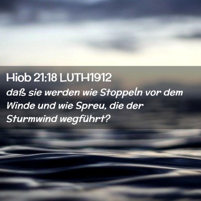 Picture 02 - Hiob 21:18 LUTH1912 - daß sie werden wie Stoppeln vor dem Winde und - Bible Verse Picture