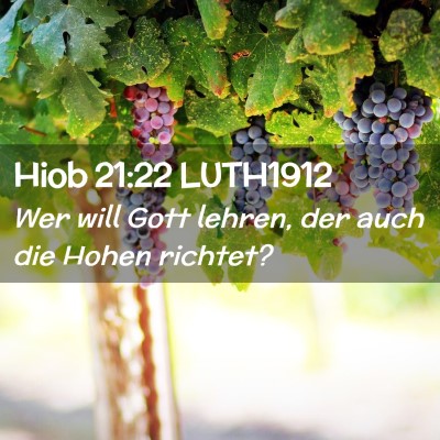 Picture 02 - Hiob 21:22 LUTH1912 - Wer will Gott lehren, der auch die Hohen - Bible Verse Picture