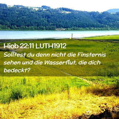 Picture 02 - Hiob 22:11 LUTH1912 - Solltest du denn nicht die Finsternis sehen und - Bible Verse Picture