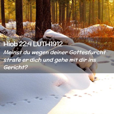 Picture 02 - Hiob 22:4 LUTH1912 - Meinst du wegen deiner Gottesfurcht strafe er - Bible Verse Picture