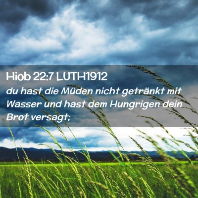 Picture 02 - Hiob 22:7 LUTH1912 - du hast die Müden nicht getränkt mit Wasser und - Bible Verse Picture