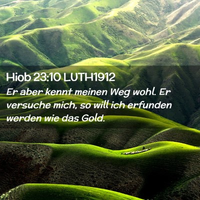 Picture 02 - Hiob 23:10 LUTH1912 - Er aber kennt meinen Weg wohl. Er versuche mich, - Bible Verse Picture