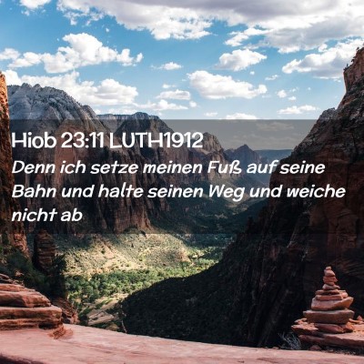 Picture 02 - Hiob 23:11 LUTH1912 - Denn ich setze meinen Fuß auf seine Bahn und - Bible Verse Picture