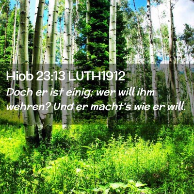 Picture 02 - Hiob 23:13 LUTH1912 - Doch er ist einig; wer will ihm wehren? Und er - Bible Verse Picture