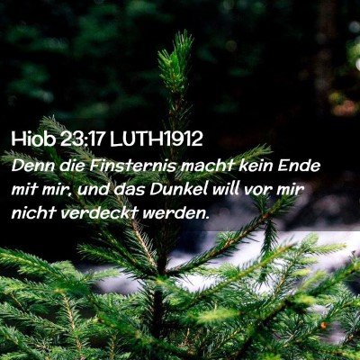 Picture 02 - Hiob 23:17 LUTH1912 - Denn die Finsternis macht kein Ende mit mir, und - Bible Verse Picture