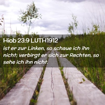 Picture 02 - Hiob 23:9 LUTH1912 - ist er zur Linken, so schaue ich ihn nicht; - Bible Verse Picture