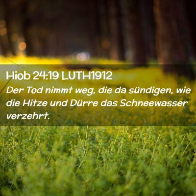 Picture 02 - Hiob 24:19 LUTH1912 - Der Tod nimmt weg, die da sündigen, wie die - Bible Verse Picture