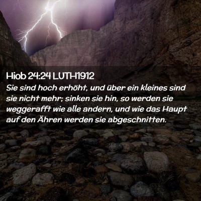 Picture 02 - Hiob 24:24 LUTH1912 - Sie sind hoch erhöht, und über ein kleines sind - Bible Verse Picture
