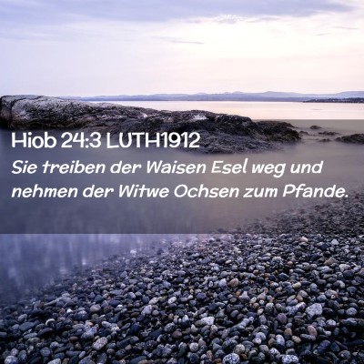 Picture 02 - Hiob 24:3 LUTH1912 - Sie treiben der Waisen Esel weg und nehmen der - Bible Verse Picture