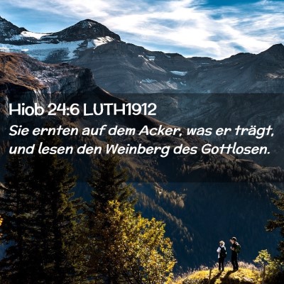 Picture 02 - Hiob 24:6 LUTH1912 - Sie ernten auf dem Acker, was er trägt, und - Bible Verse Picture