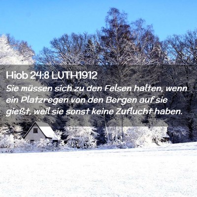 Picture 02 - Hiob 24:8 LUTH1912 - Sie müssen sich zu den Felsen halten, wenn ein - Bible Verse Picture