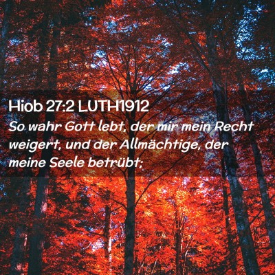 Picture 02 - Hiob 27:2 LUTH1912 - So wahr Gott lebt, der mir mein Recht weigert, - Bible Verse Picture