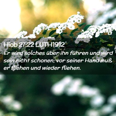 Picture 02 - Hiob 27:22 LUTH1912 - Er wird solches über ihn führen und wird sein - Bible Verse Picture