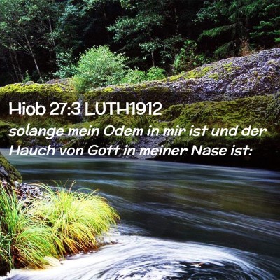 Picture 02 - Hiob 27:3 LUTH1912 - solange mein Odem in mir ist und der Hauch von - Bible Verse Picture