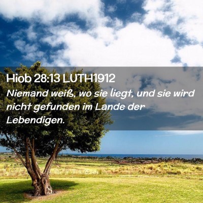 Picture 02 - Hiob 28:13 LUTH1912 - Niemand weiß, wo sie liegt, und sie wird nicht - Bible Verse Picture