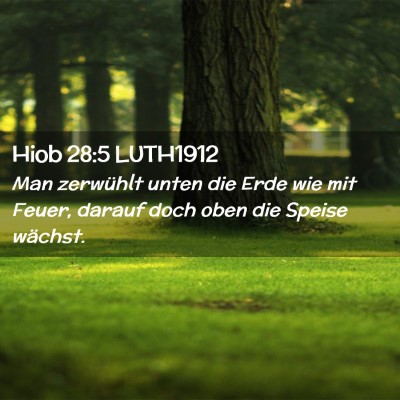 Picture 02 - Hiob 28:5 LUTH1912 - Man zerwühlt unten die Erde wie mit Feuer, - Bible Verse Picture