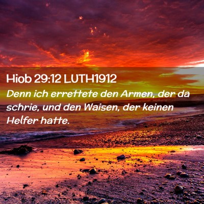 Picture 02 - Hiob 29:12 LUTH1912 - Denn ich errettete den Armen, der da schrie, und - Bible Verse Picture