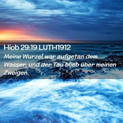 Picture 02 - Hiob 29:19 LUTH1912 - Meine Wurzel war aufgetan dem Wasser, und der Tau - Bible Verse Picture