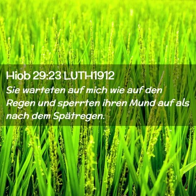Picture 02 - Hiob 29:23 LUTH1912 - Sie warteten auf mich wie auf den Regen und - Bible Verse Picture