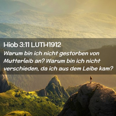 Picture 02 - Hiob 3:11 LUTH1912 - Warum bin ich nicht gestorben von Mutterleib an? - Bible Verse Picture