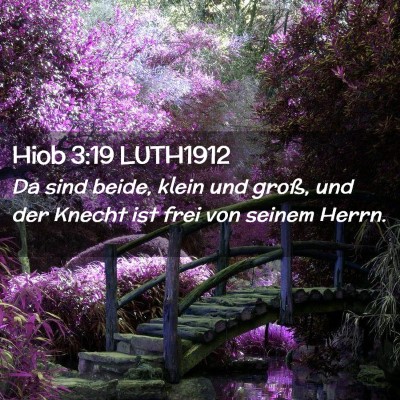 Picture 02 - Hiob 3:19 LUTH1912 - Da sind beide, klein und groß, und der Knecht - Bible Verse Picture