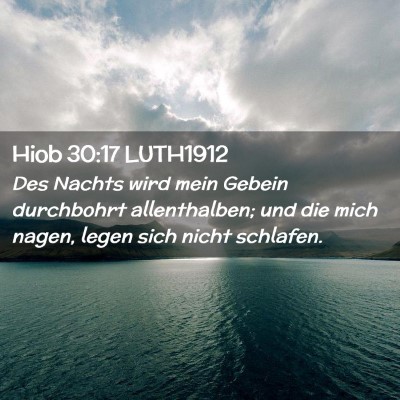 Picture 02 - Hiob 30:17 LUTH1912 - Des Nachts wird mein Gebein durchbohrt - Bible Verse Picture