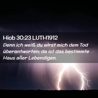 Picture 02 - Hiob 30:23 LUTH1912 - Denn ich weiß du wirst mich dem Tod - Bible Verse Picture