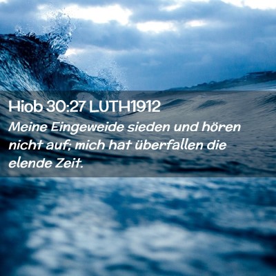 Picture 02 - Hiob 30:27 LUTH1912 - Meine Eingeweide sieden und hören nicht auf; - Bible Verse Picture