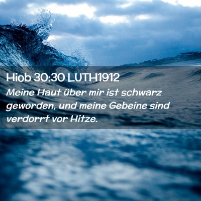 Picture 02 - Hiob 30:30 LUTH1912 - Meine Haut über mir ist schwarz geworden, und - Bible Verse Picture