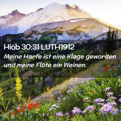 Picture 02 - Hiob 30:31 LUTH1912 - Meine Harfe ist eine Klage geworden und meine - Bible Verse Picture