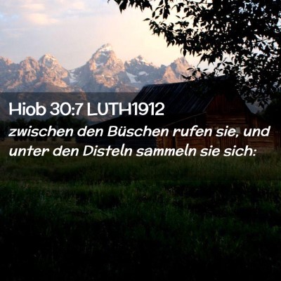 Picture 02 - Hiob 30:7 LUTH1912 - zwischen den Büschen rufen sie, und unter den - Bible Verse Picture