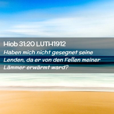 Picture 02 - Hiob 31:20 LUTH1912 - Haben mich nicht gesegnet seine Lenden, da er von - Bible Verse Picture
