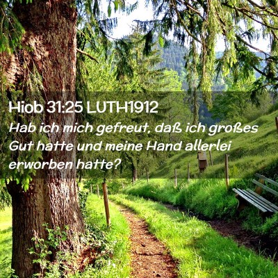 Picture 02 - Hiob 31:25 LUTH1912 - Hab ich mich gefreut, daß ich großes Gut hatte - Bible Verse Picture
