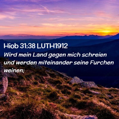 Picture 02 - Hiob 31:38 LUTH1912 - Wird mein Land gegen mich schreien und werden - Bible Verse Picture