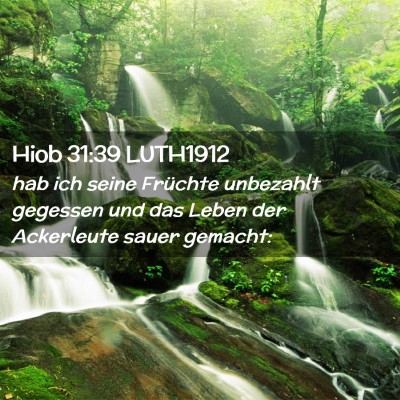 Picture 02 - Hiob 31:39 LUTH1912 - hab ich seine Früchte unbezahlt gegessen und das - Bible Verse Picture