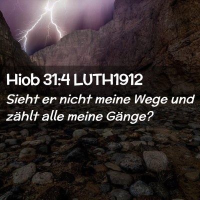 Picture 02 - Hiob 31:4 LUTH1912 - Sieht er nicht meine Wege und zählt alle meine - Bible Verse Picture