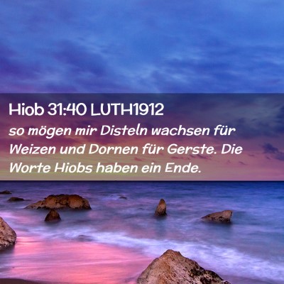 Picture 02 - Hiob 31:40 LUTH1912 - so mögen mir Disteln wachsen für Weizen und - Bible Verse Picture