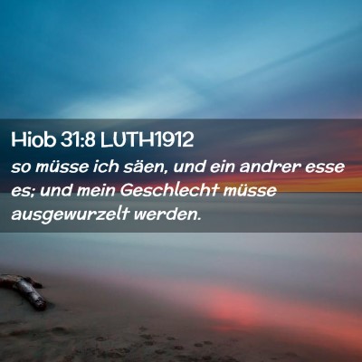 Picture 02 - Hiob 31:8 LUTH1912 - so müsse ich säen, und ein andrer esse es; und - Bible Verse Picture