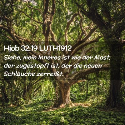 Picture 02 - Hiob 32:19 LUTH1912 - Siehe, mein Inneres ist wie der Most, der - Bible Verse Picture