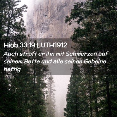 Picture 02 - Hiob 33:19 LUTH1912 - Auch straft er ihn mit Schmerzen auf seinem Bette - Bible Verse Picture