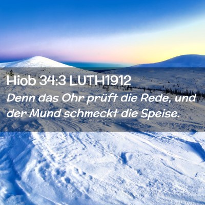 Picture 02 - Hiob 34:3 LUTH1912 - Denn das Ohr prüft die Rede, und der Mund - Bible Verse Picture