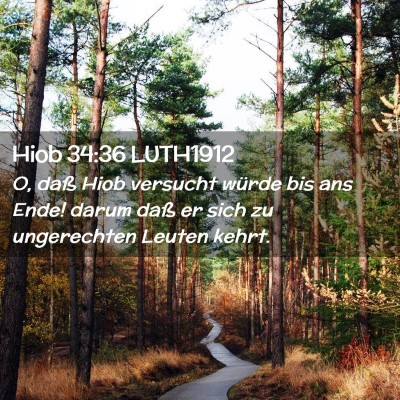 Picture 02 - Hiob 34:36 LUTH1912 - O, daß Hiob versucht würde bis ans Ende! darum - Bible Verse Picture