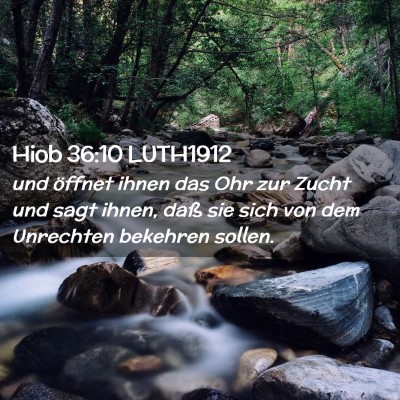 Picture 02 - Hiob 36:10 LUTH1912 - und öffnet ihnen das Ohr zur Zucht und sagt - Bible Verse Picture