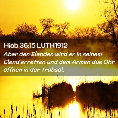 Picture 02 - Hiob 36:15 LUTH1912 - Aber den Elenden wird er in seinem Elend erretten - Bible Verse Picture
