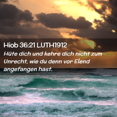 Picture 02 - Hiob 36:21 LUTH1912 - Hüte dich und kehre dich nicht zum Unrecht, wie - Bible Verse Picture